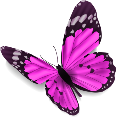 schmetterling